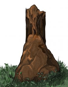 Coptotermes acinaformis above ground mound